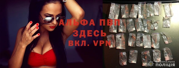 метадон Елизово