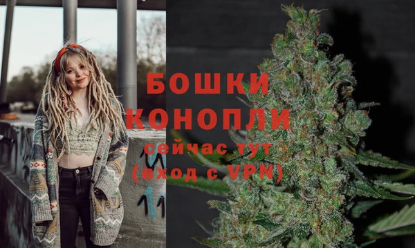 метадон Елизово