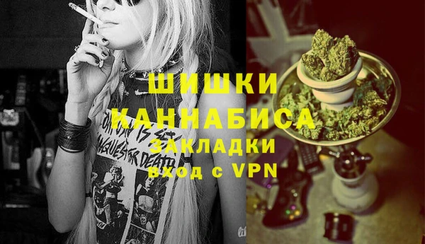 метадон Елизово