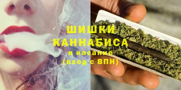 метадон Елизово