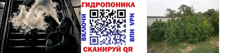 Шишки марихуана VHQ  мега рабочий сайт  Каменногорск 